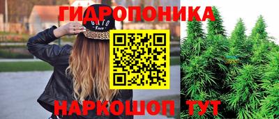 хмурый Аша