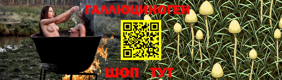 Галлюциногенные грибы MAGIC MUSHROOMS Азов
