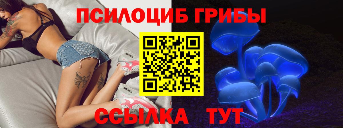 Галлюциногенные грибы Cubensis  Вход с VPN  Азов  Галлюциногенные грибы прущие грибы 